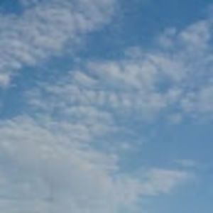 Meet your Posher, Shakyrah